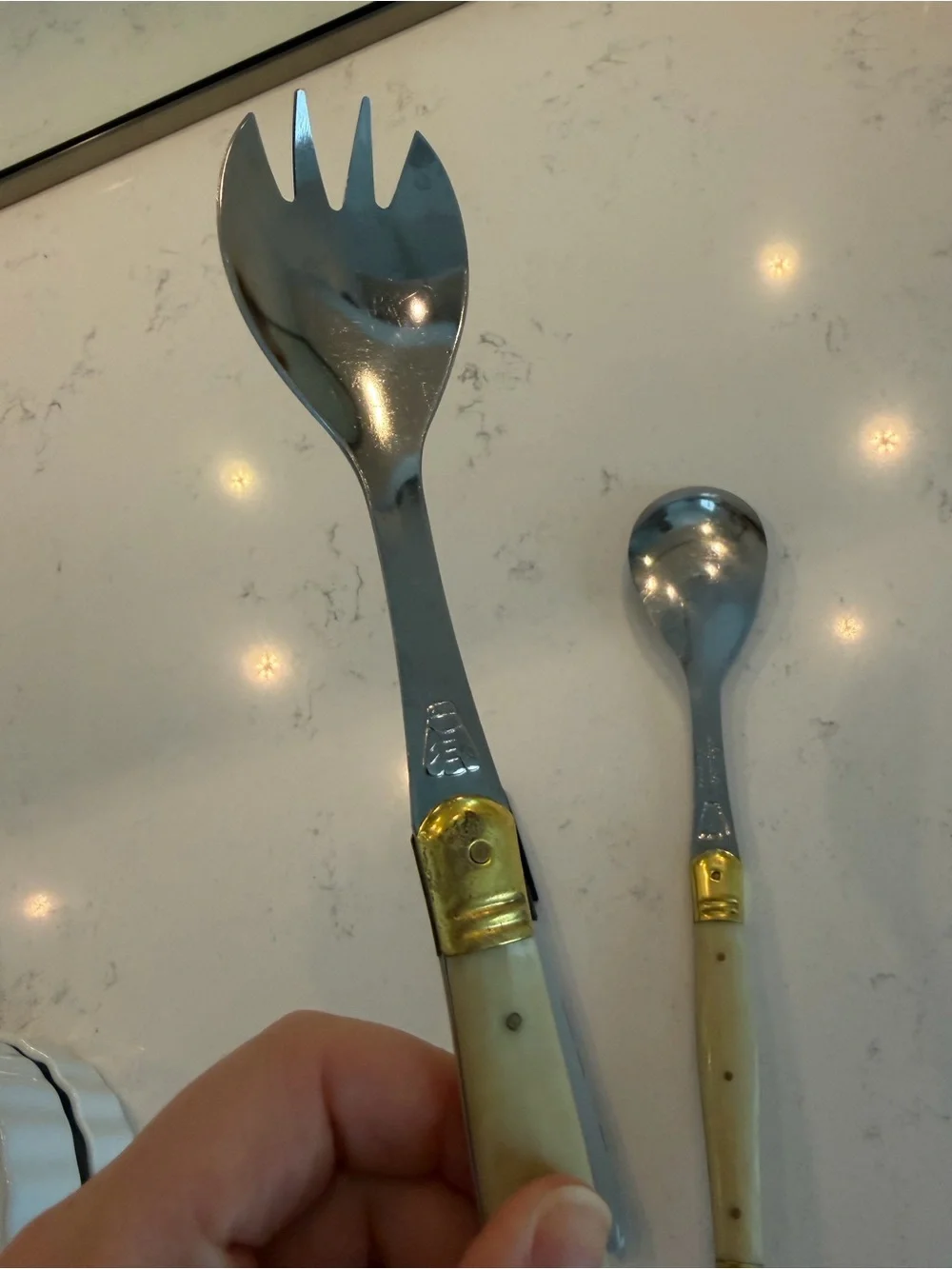 Set of 2 Laguiole Serving Spoons
